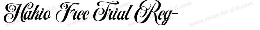 Hakio Free Trial Reg字体转换